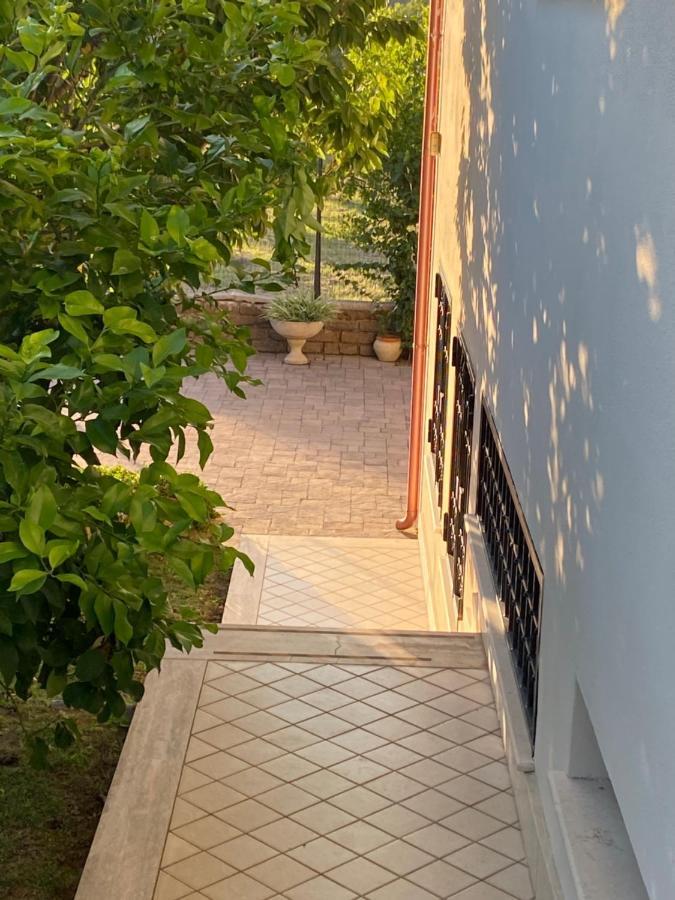 Alloggio Turistico Villa Camelia Lavinio Anzio Dış mekan fotoğraf